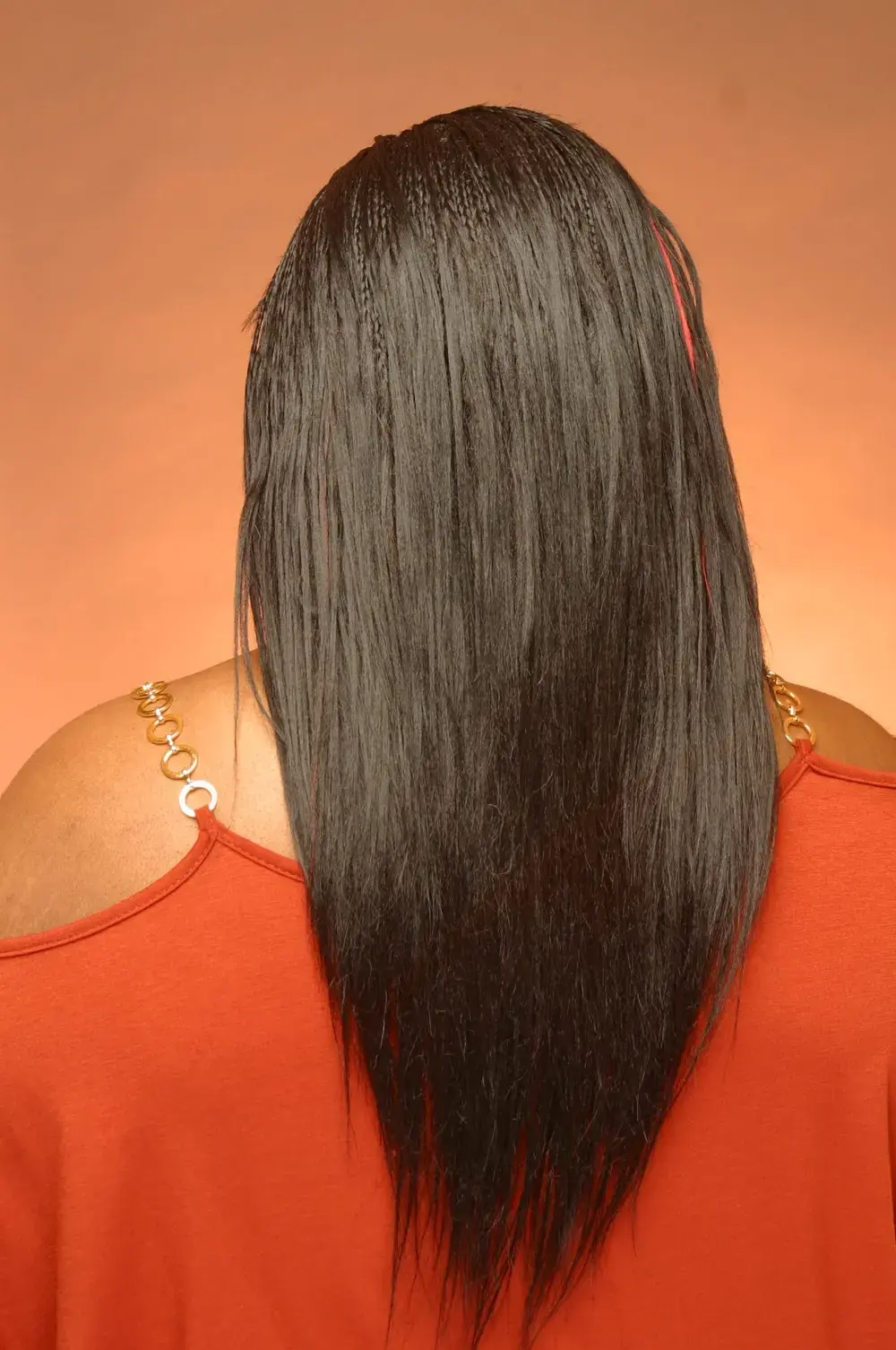 Senegalese twists by Exclusive Hair Braiding in Wilmington, DE